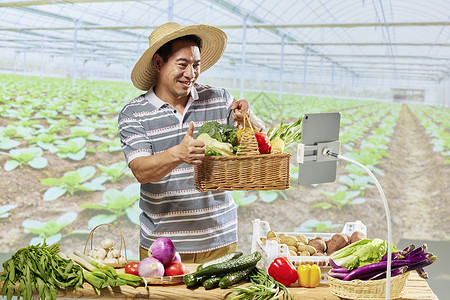 淳朴菜农线上直播销售蔬菜背景图片