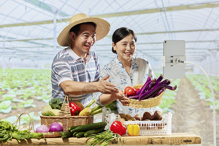 菜农夫妻网络直播售卖蔬菜图片