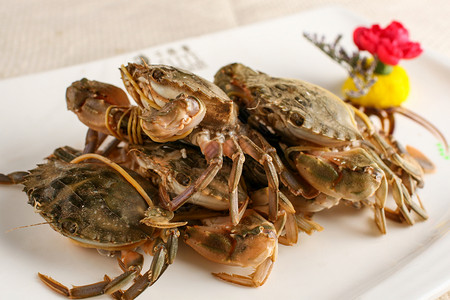 石头蟹餐具生腌蟹高清图片