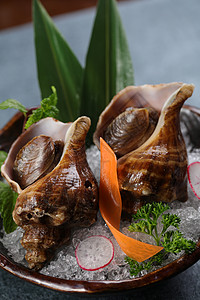 海螺刺身晚餐螺塞肉高清图片