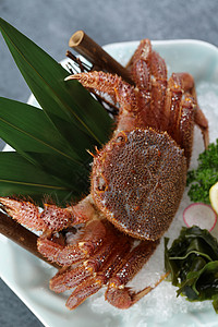 螃蟹料理毛蟹背景