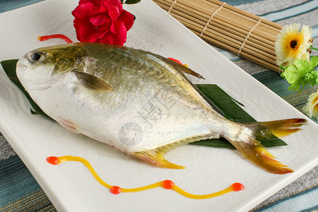耧斗菜新鲜的斗鲳鱼背景