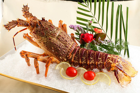 烹饪龙虾龙虾刺身背景