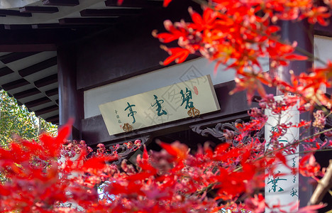 村指示牌古建筑亭子前的红色枫叶背景
