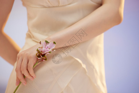 时尚女性手拿花卉特写图片
