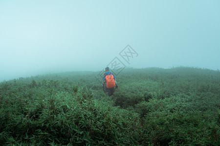 大雾里的背包客图片