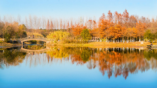 油画树林秋天水杉湖面倒影风光背景