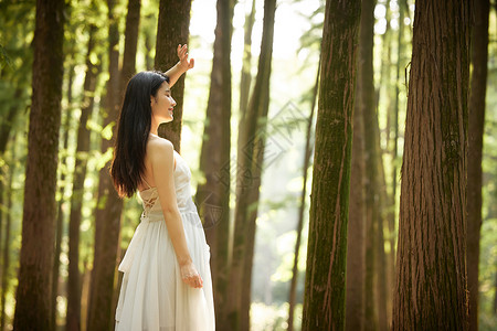 女生穿搭树林里穿白色长裙的女性背景