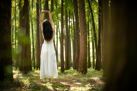 树林里穿白色长裙的美女背影背景图片