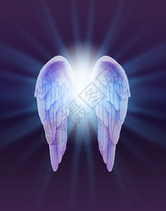 一对羽毛细腻的天使之翼背景图片
