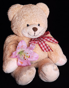 一个可爱的柔软笑脸泰迪熊玩具拿着一朵百合花图片