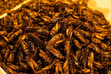 在泰国等许多亚洲克里皮油炸昆虫是图片