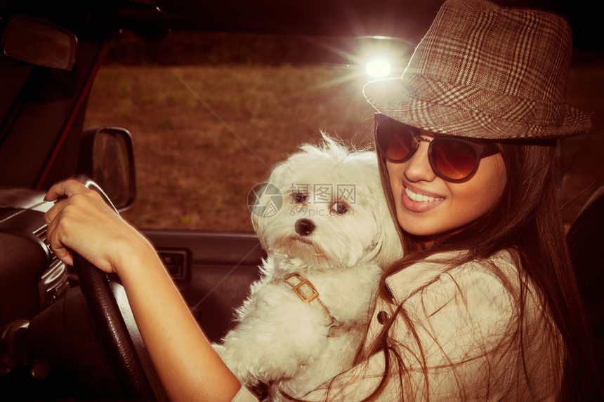 微笑着的年轻女子带着可爱的狗在汽车里添图片