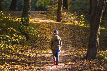 小孩独自走在秋天的森林里人生之路在学校概念中玩弄欺凌恐惧背景图片