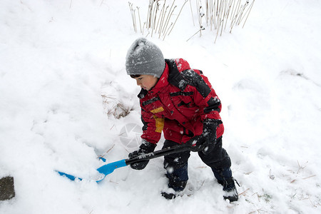 一个小男孩正在铲雪图片