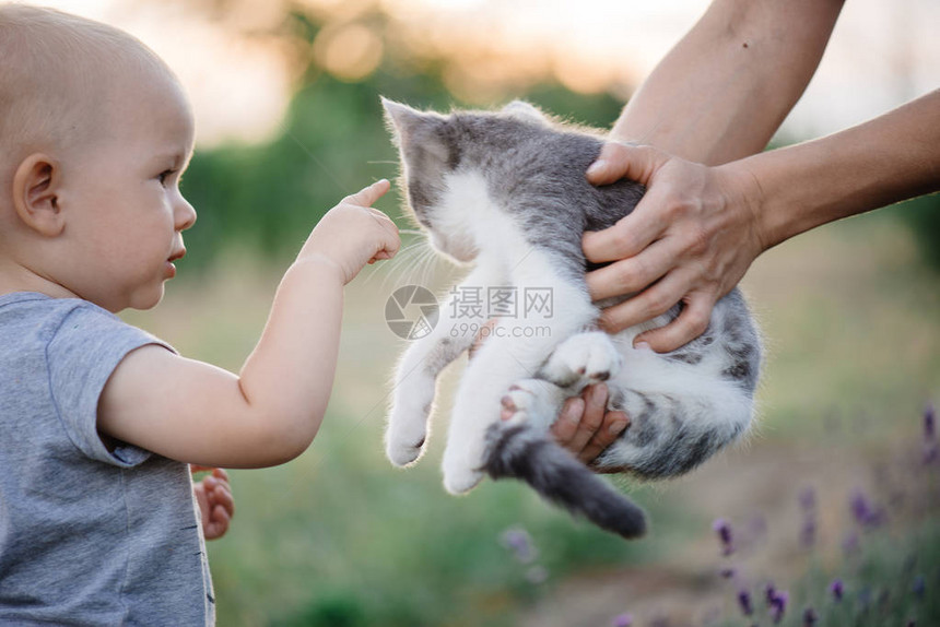 妈妈把猫抱在小孩子面前图片