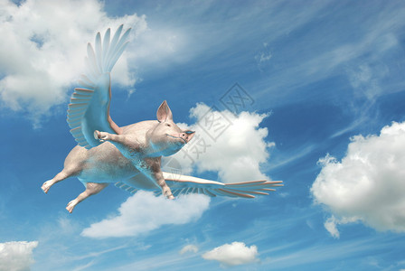 翼展云中飞猪的3D照片插图设计图片