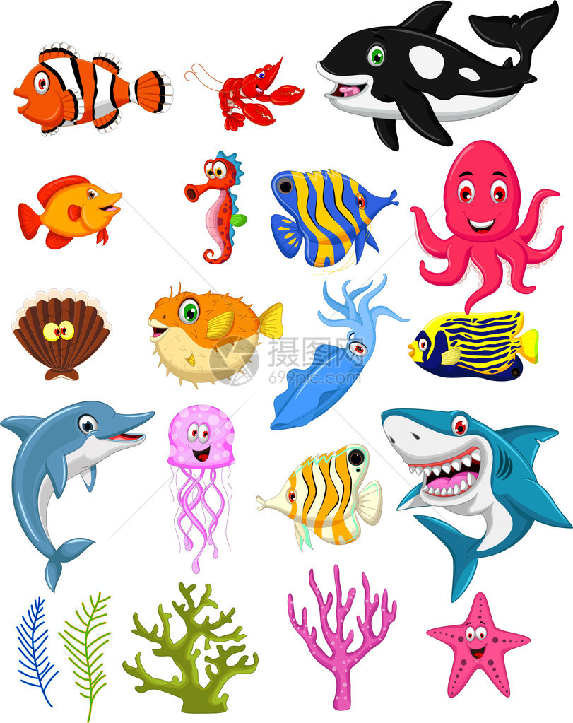 海洋生物卡通套图图片