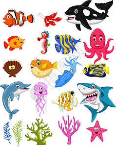 海洋生物卡通套图图片