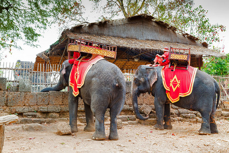 柬埔寨王国大象圣堂和丛林之旅PratehCombore图片