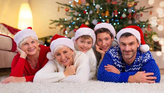 在圣诞节微笑的家庭图片