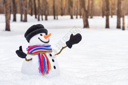 冬季圣诞风景的雪人快乐白版图片