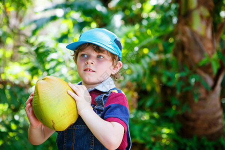 快乐有趣的学龄前小男孩拿着巨大的椰子孩子在热带丛林岛上的家庭度假中玩耍夏天背景图片