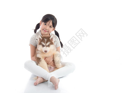 美丽的亚洲女孩拥抱西比莉安哈斯基小狗图片