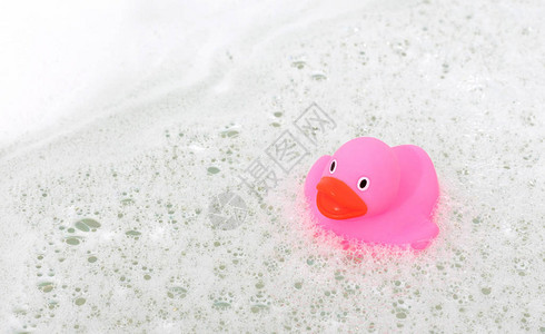 浴缸里的粉鸭图片