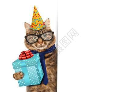 带着眼镜和礼物的笑猫从图片