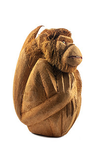 从椰子雕刻的猴子图片
