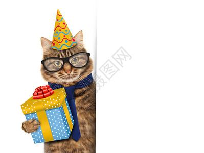 带着眼镜和礼物的笑猫从图片