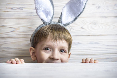 小兔子耳朵从桌子下面偷看等着东边的兔子呢图片