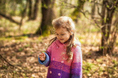 小女孩在春天在森林里收集图片