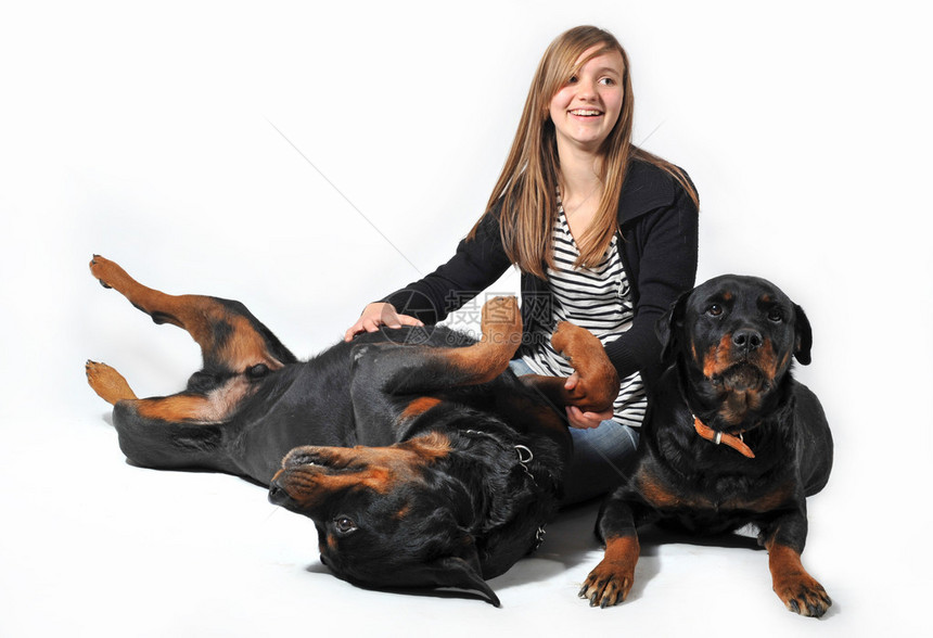 年轻少女和她的两只狗图片