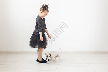 宠物和动物概念童女玩小狗杰克背景图片