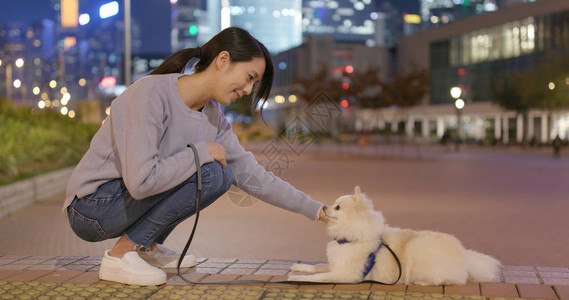 女人晚上和她的狗在街边图片