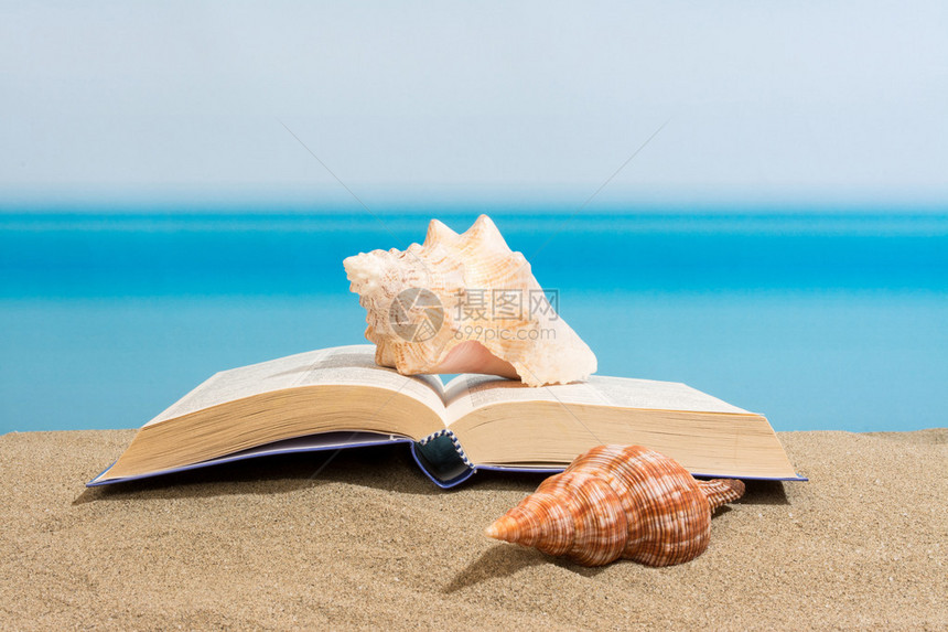 海滩上的书图片