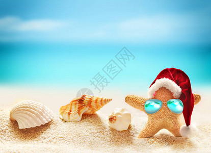 夏季海滩和圣诞老人帽子上的海星家图片