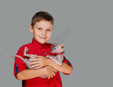 穿红色马球T恤的情绪小男孩拿着一只猫图片