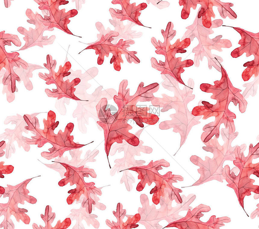 无缝秋季天花卉模式白图片