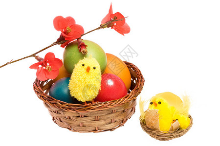 彩蛋鸡和鲜花的复活节贺卡图片