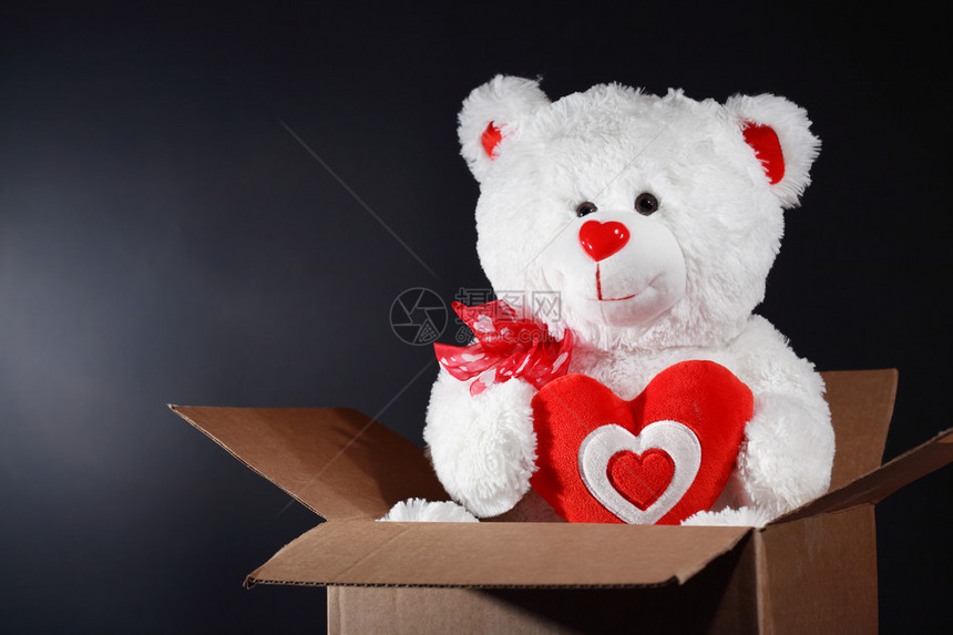 白熊在黑底幕下的纸板盒里将红图片
