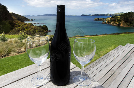 两杯红酒在野外的海景上图片