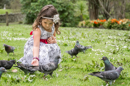 在公园喂食鸽子的可爱小女孩图片