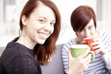 两位女士喝着咖啡在客厅里愉快的交谈图片