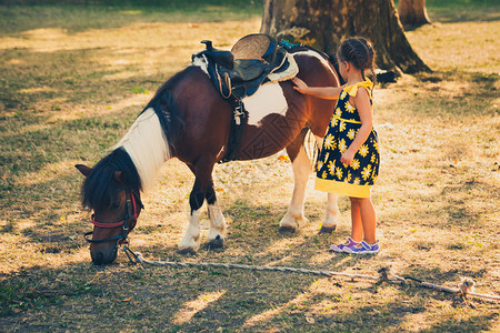 夏日公园户外小女孩宠物小马图片
