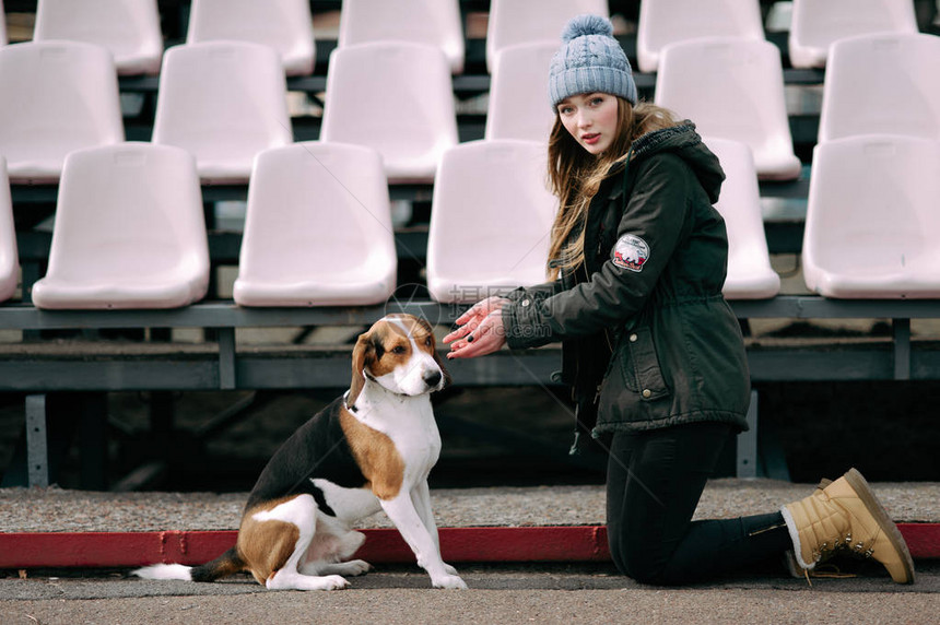 年青的时装女孩带着宠物埃斯顿尼犬在公园外玩图片