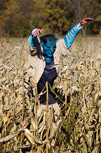 一个蓝脸怪兽被安置在密歇根西南部的玉米迷宫里在万圣节欢图片