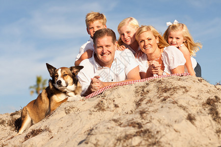 快乐家庭在沙滩度假图片